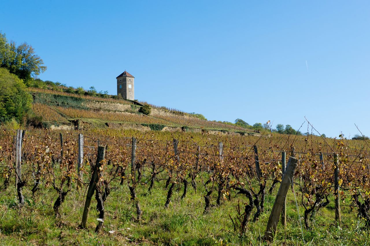 Communes Arbois Tour de Curon 5829